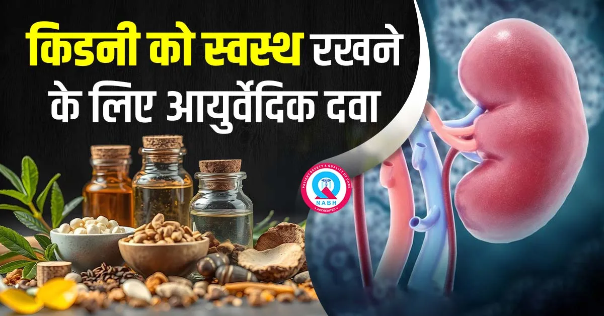 किडनी को स्वस्थ रखने के लिए आयुर्वेदिक दवा